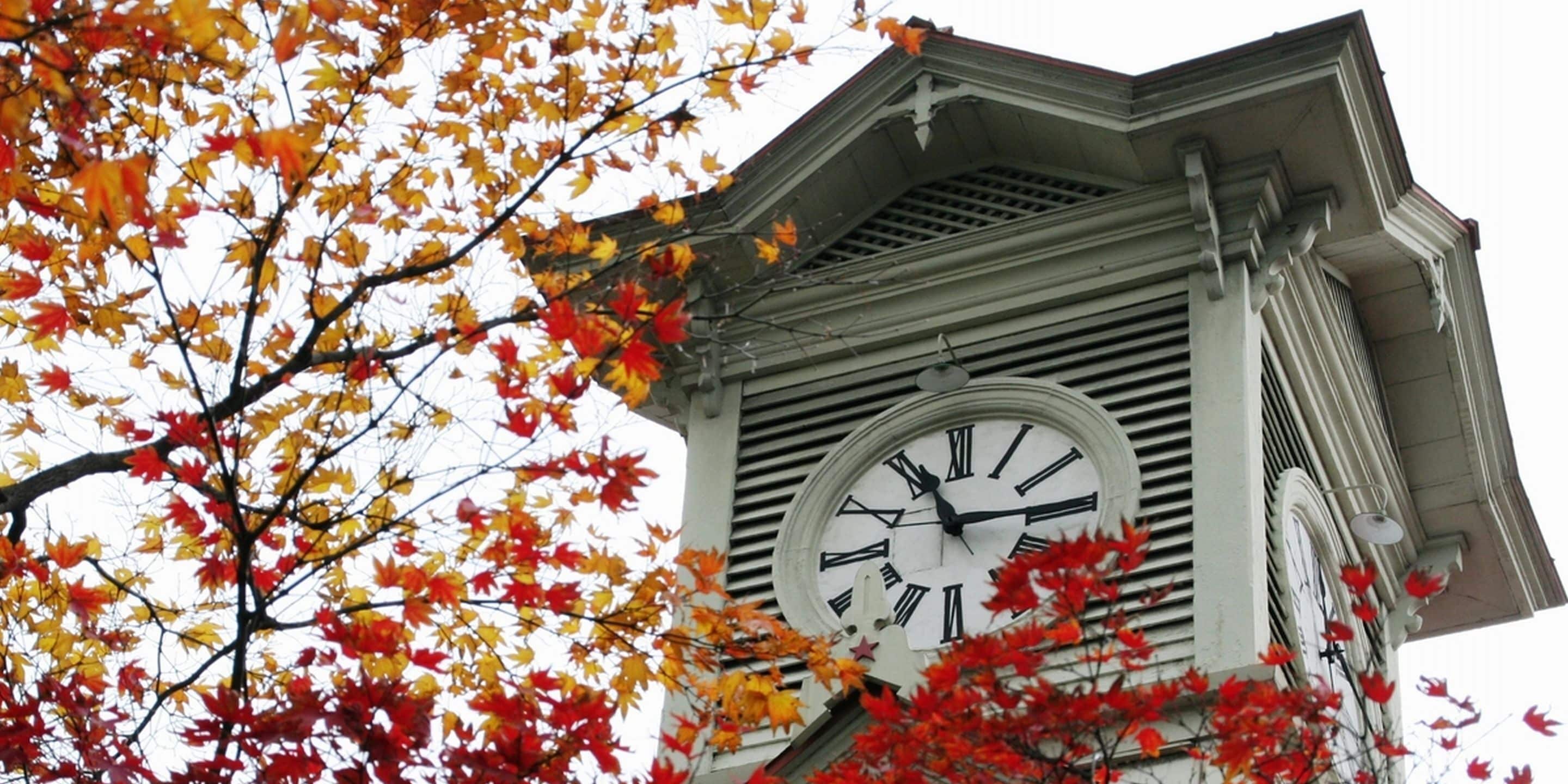 land view from property