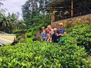 Ecotours - Train View Chalet (Bandarawela)