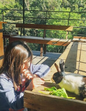 Children's activities - Train View Chalet (Bandarawela)