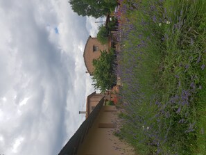 Jardines del alojamiento