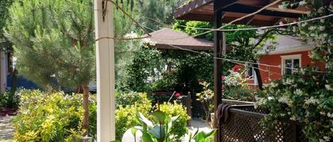 A covered outdoor area with a pergola, plants, and a view of a building.