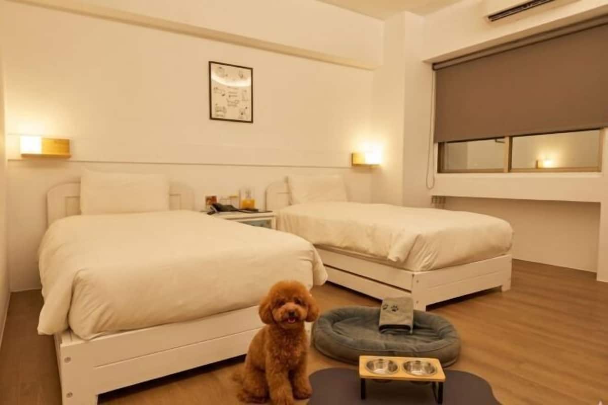 Habitación de hotel con dos camas, una cama para mascotas, una mesita con un cuenco y un teléfono en la pared.