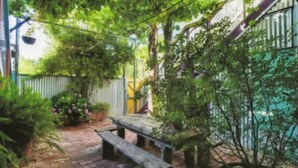 Terrace/patio - Ditto Daddys (Mildura)