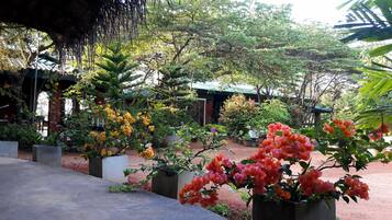 A garden area with potted plants and flowers, a concrete pathway, and a building with a green roof in the background.