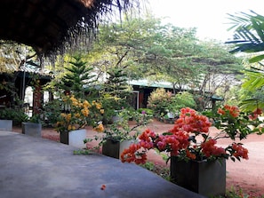 Jardin