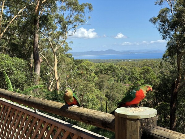 Double or Twin Room | Terrace/patio