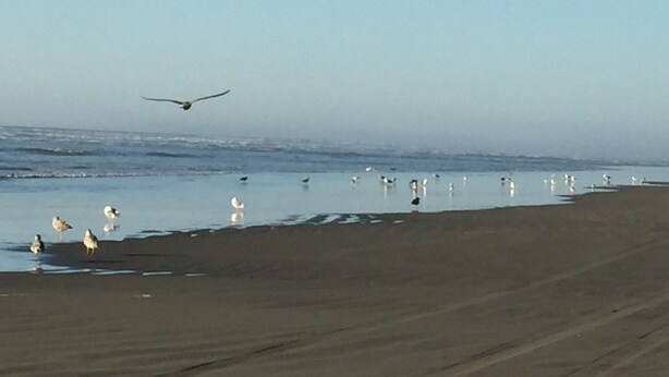 A beach with a sandy shore and calm water. - Large Vacation Home (1878sf) near Beach, WiFi, SmartTV, Bikes, fishing gears (Westport)