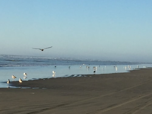 Large Vacation Home (1878sf) near Beach, WiFi, SmartTV, Bikes, fishing gears