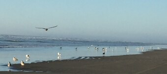 Large Vacation Home (1878sf) near Beach, WiFi, SmartTV, Bikes, fishing gears