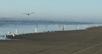 Large Vacation Home (1878sf) near Beach, WiFi, SmartTV, Bikes, fishing gears