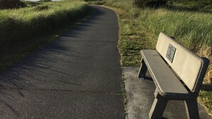 A paved path with a bench on the right side, surrounded by grass and bushes. - Large Vacation Home (1878sf) near Beach, WiFi, SmartTV, Bikes, fishing gears (Westport)