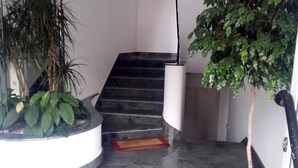 Un escalier avec un tapis rouge à sa base, entouré de plantes en pot et surmonté d’un luminaire suspendu.