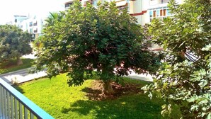 Un immeuble résidentiel doté de nombreux balcons, d’une pelouse bien entretenue et d’un grand arbre au premier plan.