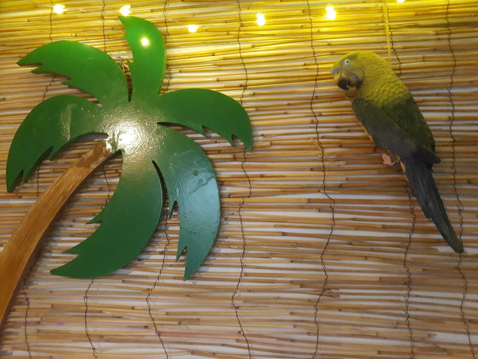 Photo - Wonder Rooms Nerja Guest House