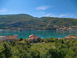 Unclassified image, 3 of 76, button