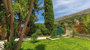Un jardin luxuriant, avec une grande variété d’arbres, un mur de pierre et un ciel d’un bleu éclatant.