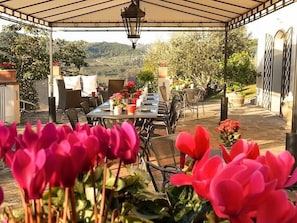 Exterior - B&B Le Dimore di Mezza Costa - Home Restaurant & Cooking Classes (San Casciano in Val di Pesa)