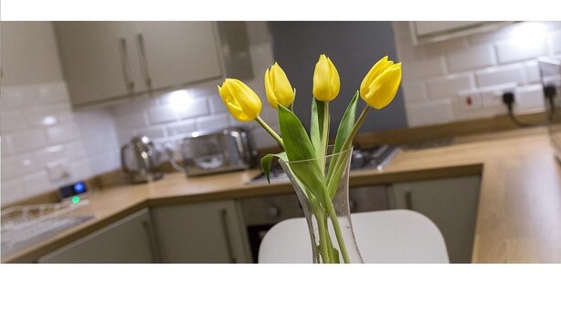 A kitchen with white cabinets, a microwave, and a vase with yellow tulips on the counter. - The Lane Apartment (Edinburgh)
