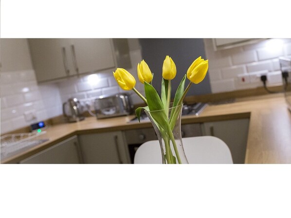 Miscellaneous - The Lane Apartment (Edinburgh)