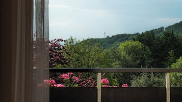 Single Room, Balcony | Balcony view