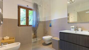 Shower, hair dryer, towels