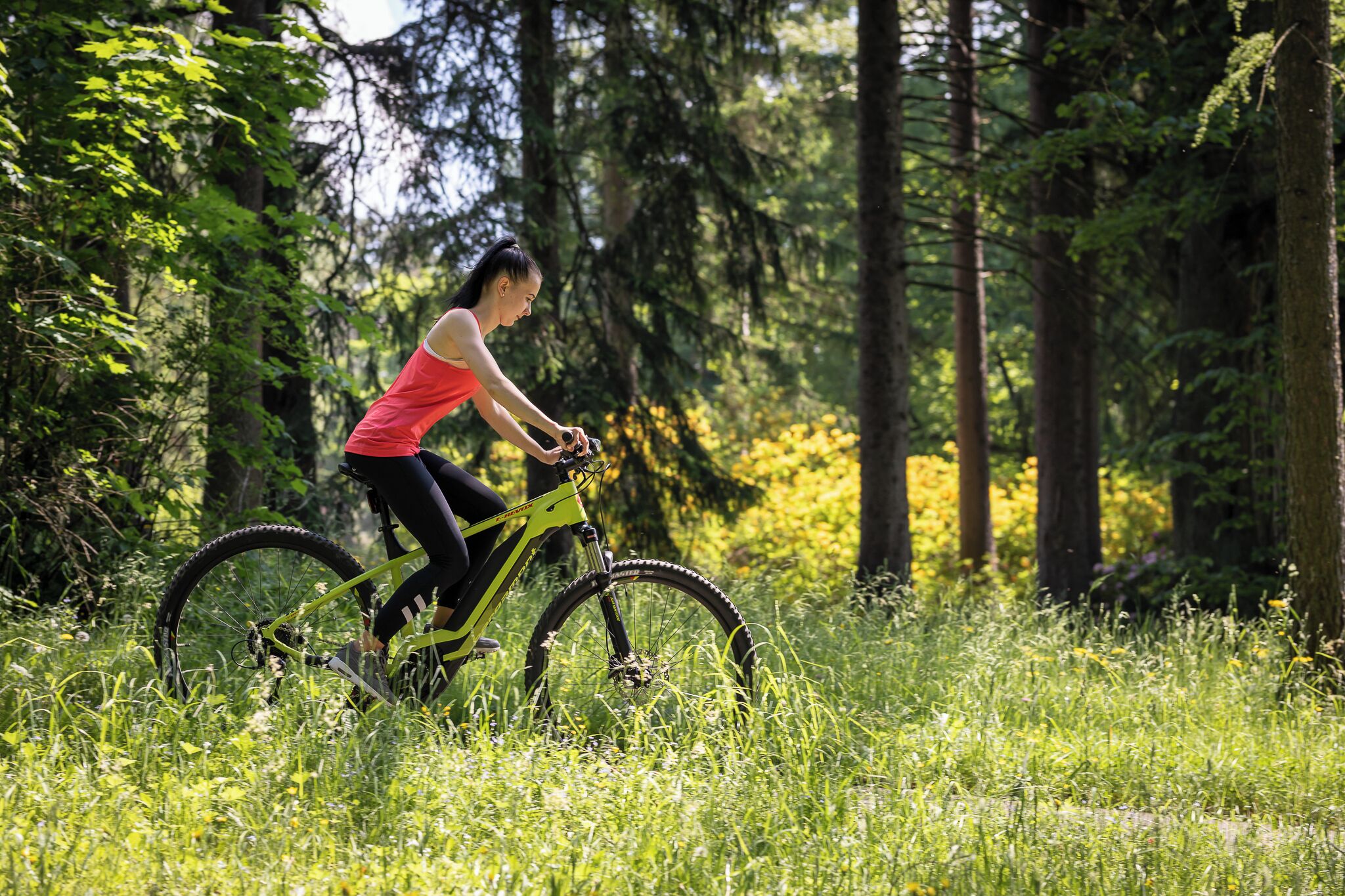 A person riding a mountain bike in a forested area with tall trees and green grass.