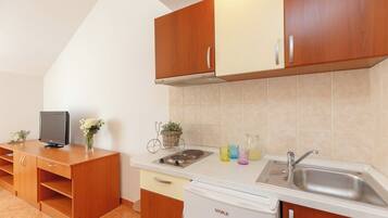 Fridge, stovetop, toaster, cookware/dishes/utensils
