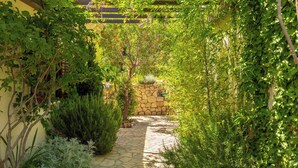 Un chemin de pierre bordé d’une végétation luxuriante et surmonté d’une pergola.
