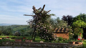 Un jardín con una pérgola cubierta de flores, una estructura de ladrillo y un muro de piedra con plantas en macetas.