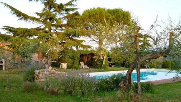 Una piscina rodeada de árboles y un muro de piedra.