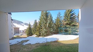 Uitzicht vanuit een deuropening op een besneeuwde binnenplaats met een gazon en hoge altijdgroene bomen.