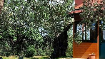 Classic Double or Twin Room, Garden View