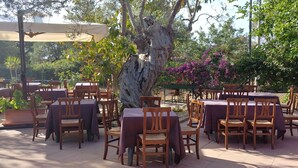 Zona pranzo all'aperto con tavoli e sedie in legno, immersa nel verde e sotto un grande albero.