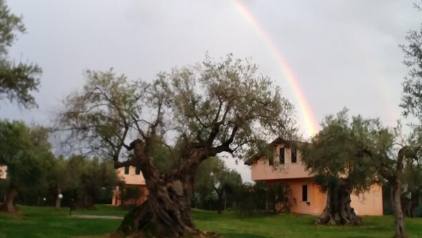 Una casa con un grande albero sullo sfondo e un arcobaleno sullo sfondo.