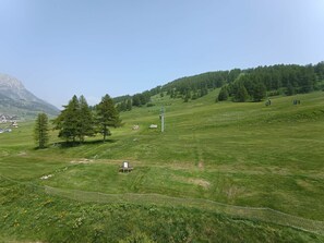 Un campo cubierto de césped con una valla, árboles y una montaña al fondo.