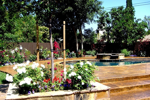 Beautiful back yard and outdoor pool and spa.  Come and enjoy! :)