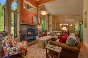 TV, fireplace, books, stereo