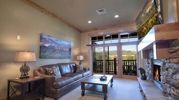 Smart TV, fireplace, books