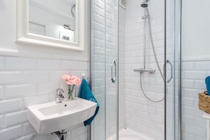 Bathroom features a glass-enclosed shower with handheld showerhead and flexible hose, a sink with single faucet, and a mirror.