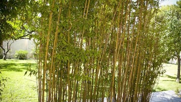 Jardín