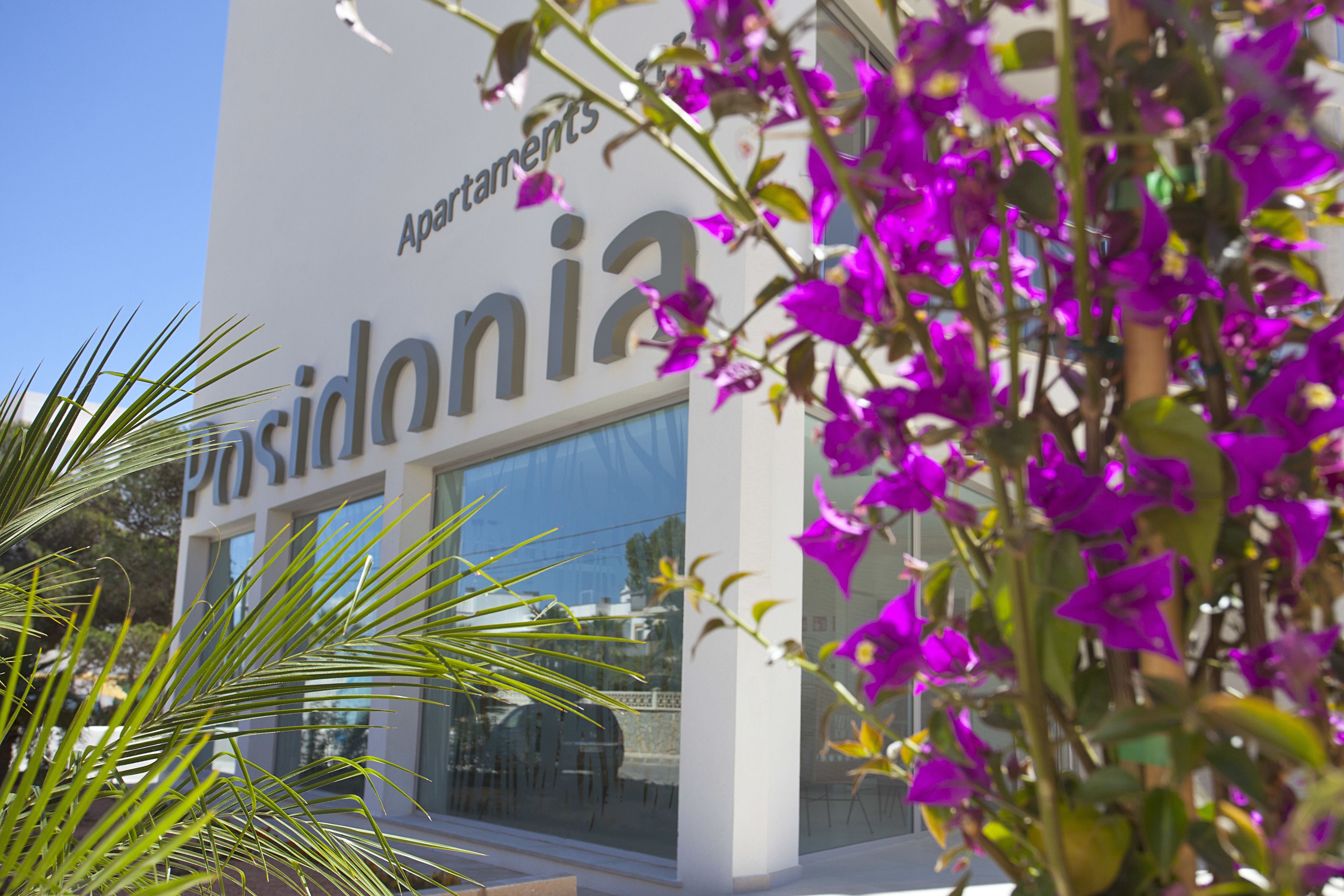 A building with a sign reading "Apartamentos."