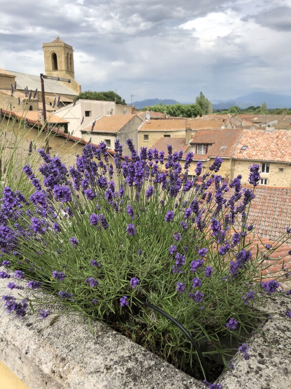 Romantic Double Room | Desk, laptop workspace, soundproofing, iron/ironing board - Entre vignes et dentelles (Courthezon)