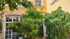 A courtyard with a pine tree, a white chair, and a metal table.