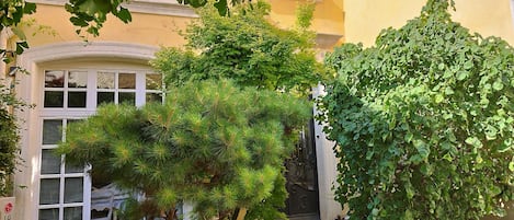 واجهة المنشأة