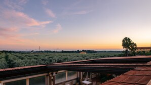 A terrace with tables set for dining, overlooking a landscape with vegetation and a sunset. - Tenuta Elisabetta (Cecina)