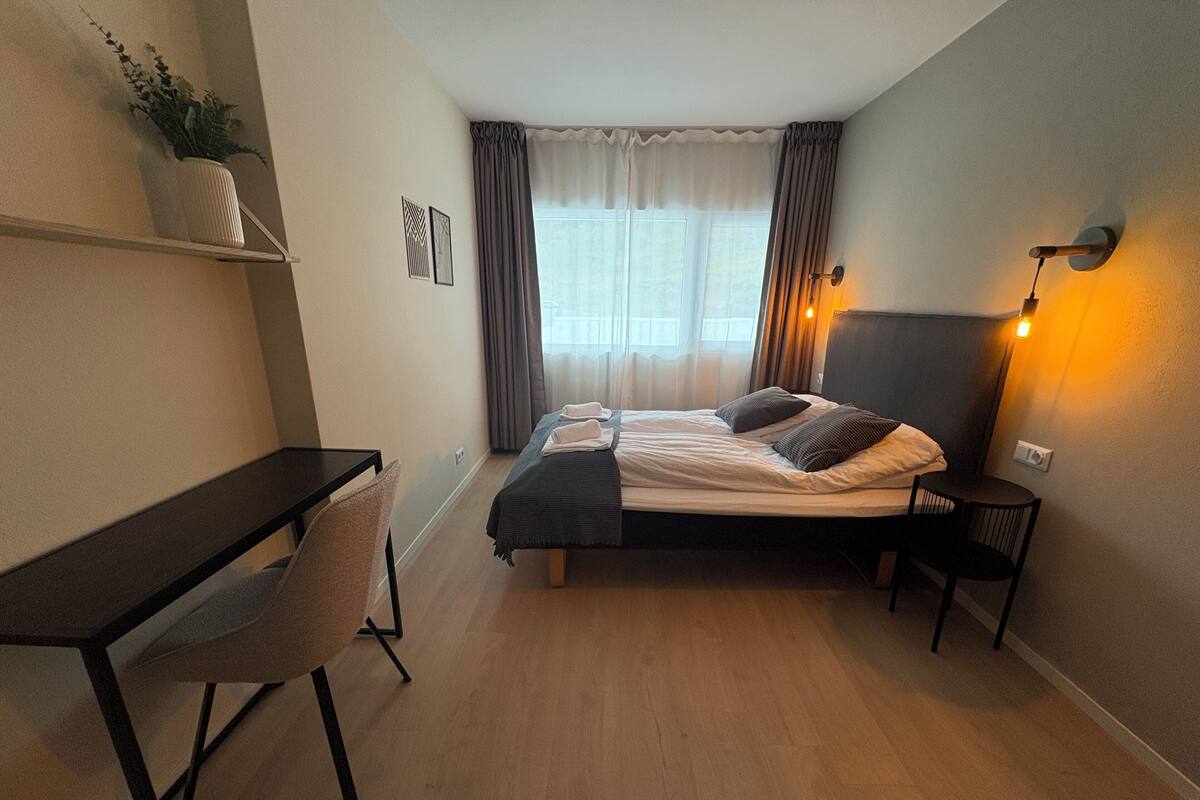 A compact hotel room with a bed, a desk, and a chair. There is a window with curtains, a wall-mounted lamp, and a small plant on a shelf.