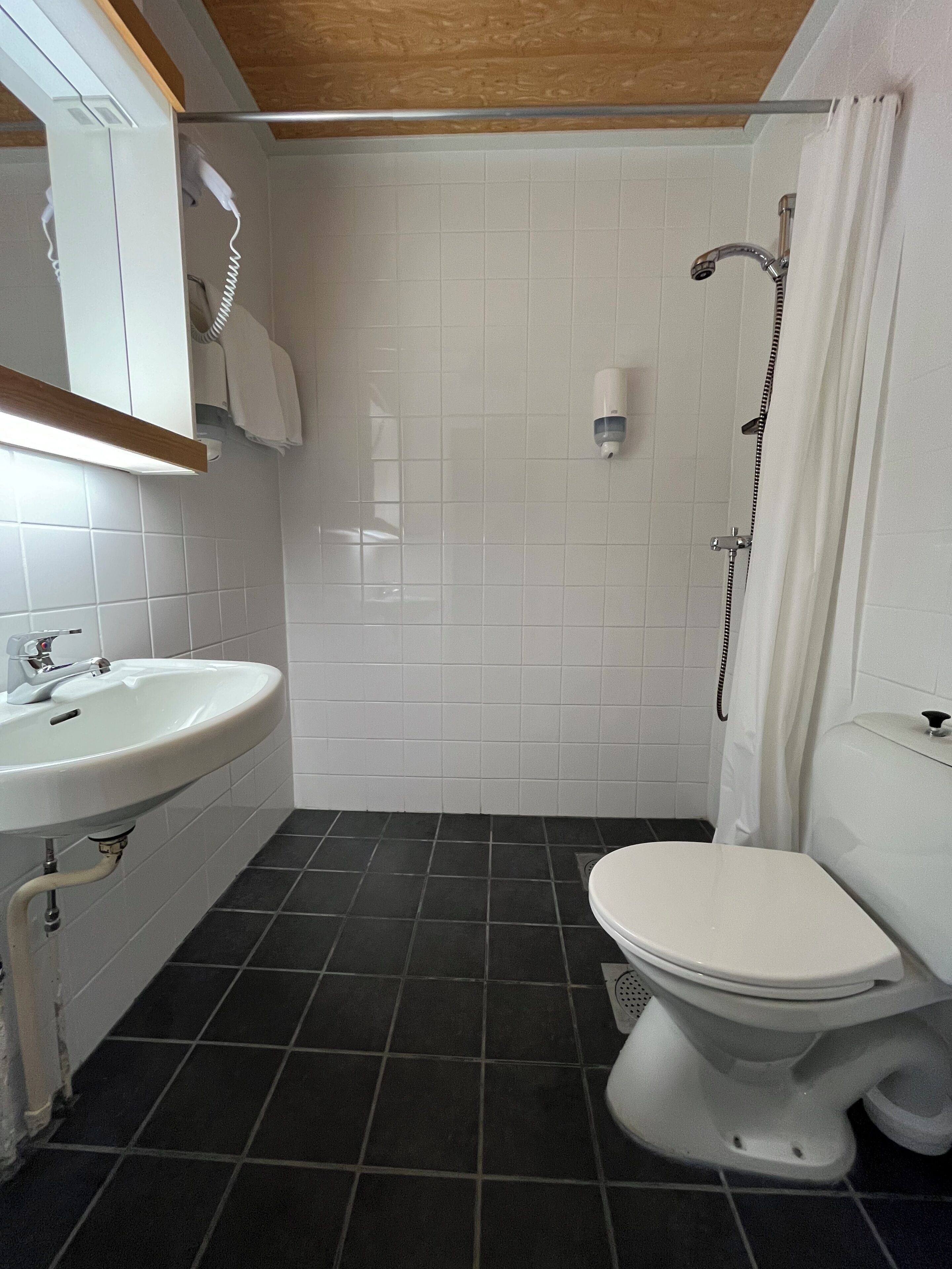 A bathroom with a white sink, toilet, and shower.