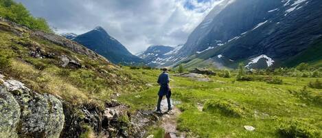 A person walking on a narrow path surrounded by lush green grass and rocky terrain with mountains in the background.