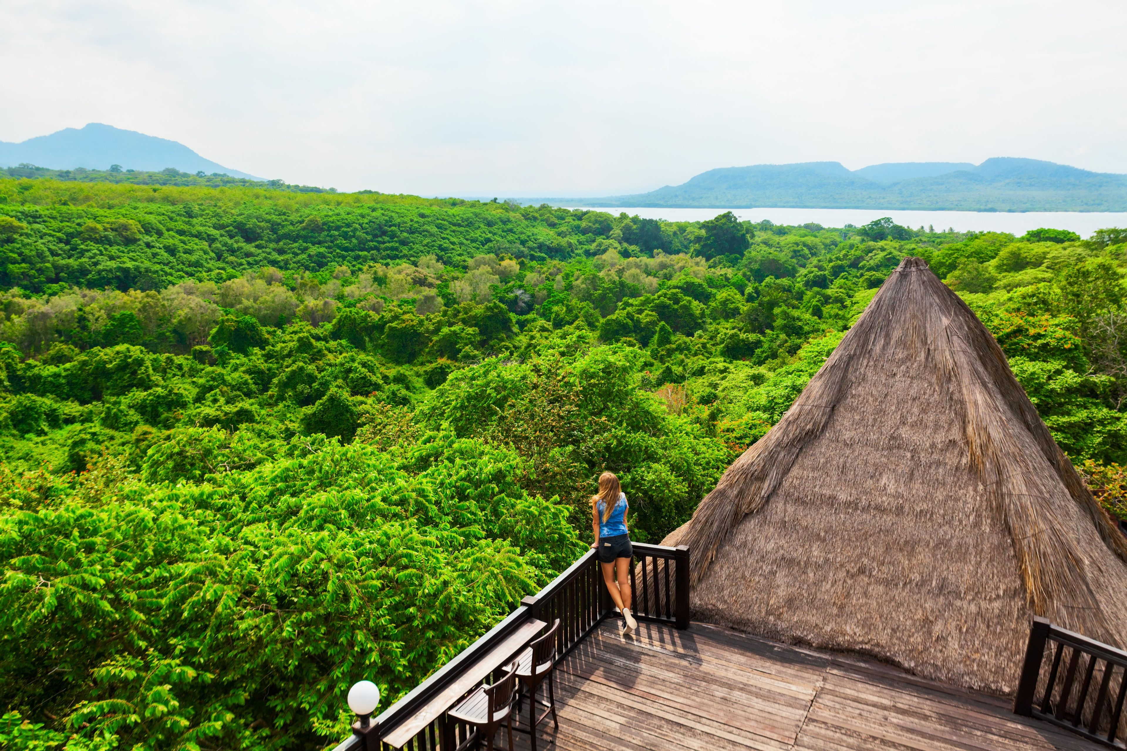 A person on a wooden deck with a thatched-roof structure, overlooking a dense green forest and a lake.