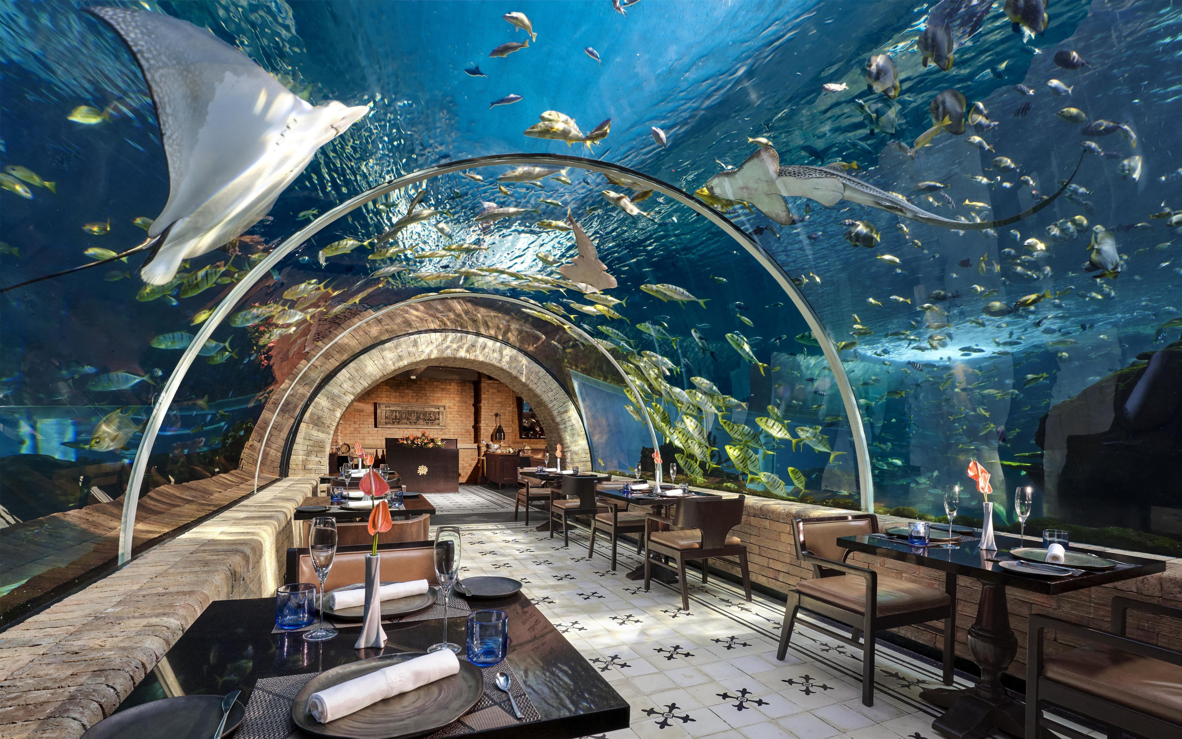 An underwater restaurant with tables and chairs, surrounded by a large aquarium.